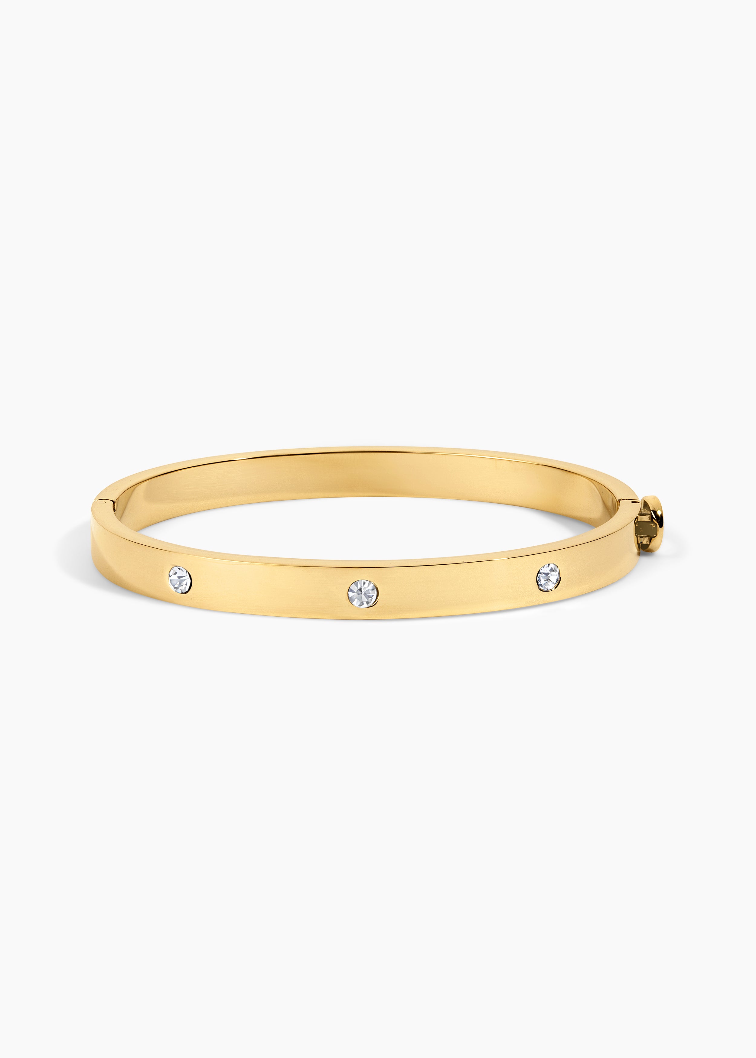 NWT! FP Free People Your Love Gold Plated Barette Pet Lover Collection • Premium Bundle Box main image 4