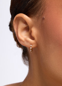 Colette Hoops