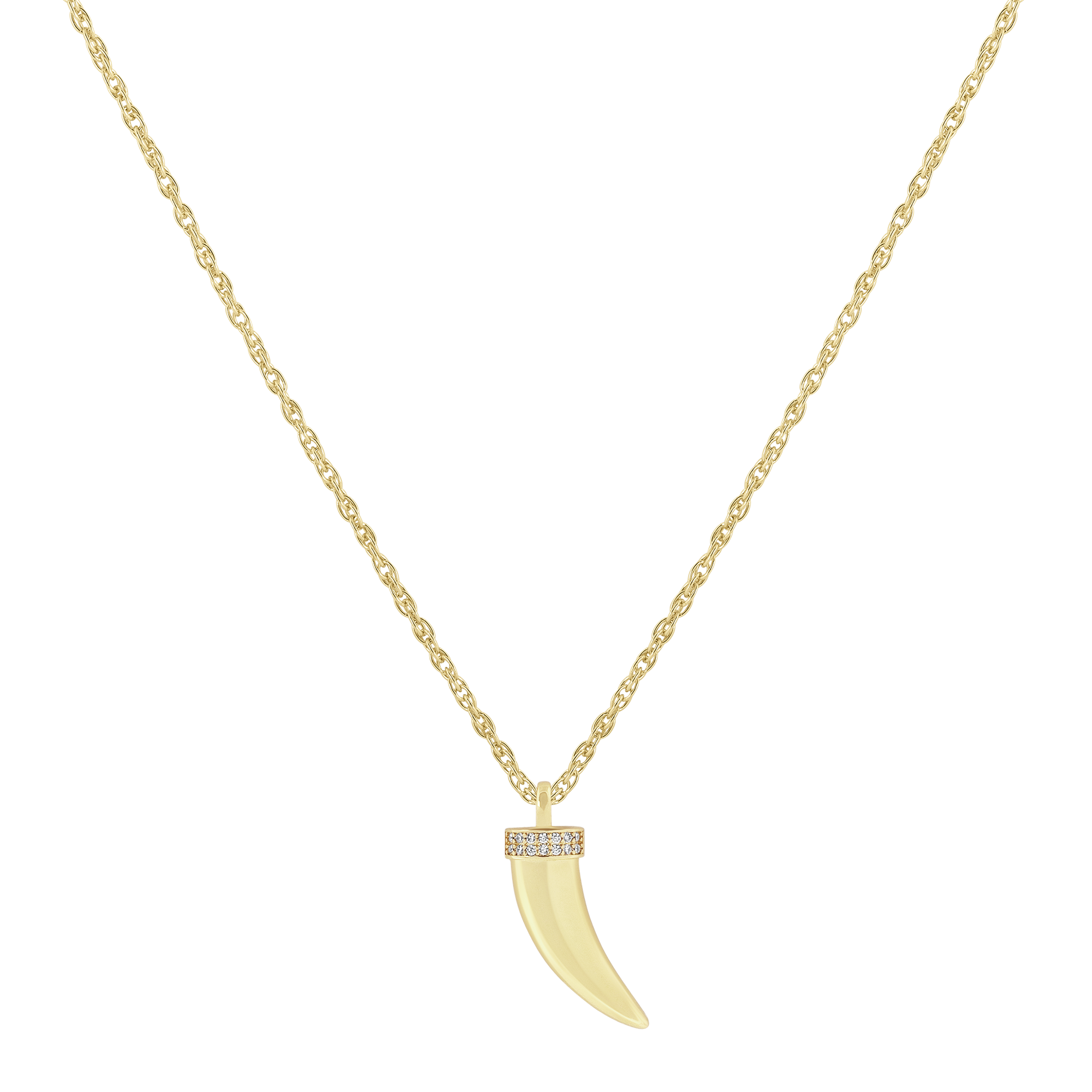 Horn Necklace