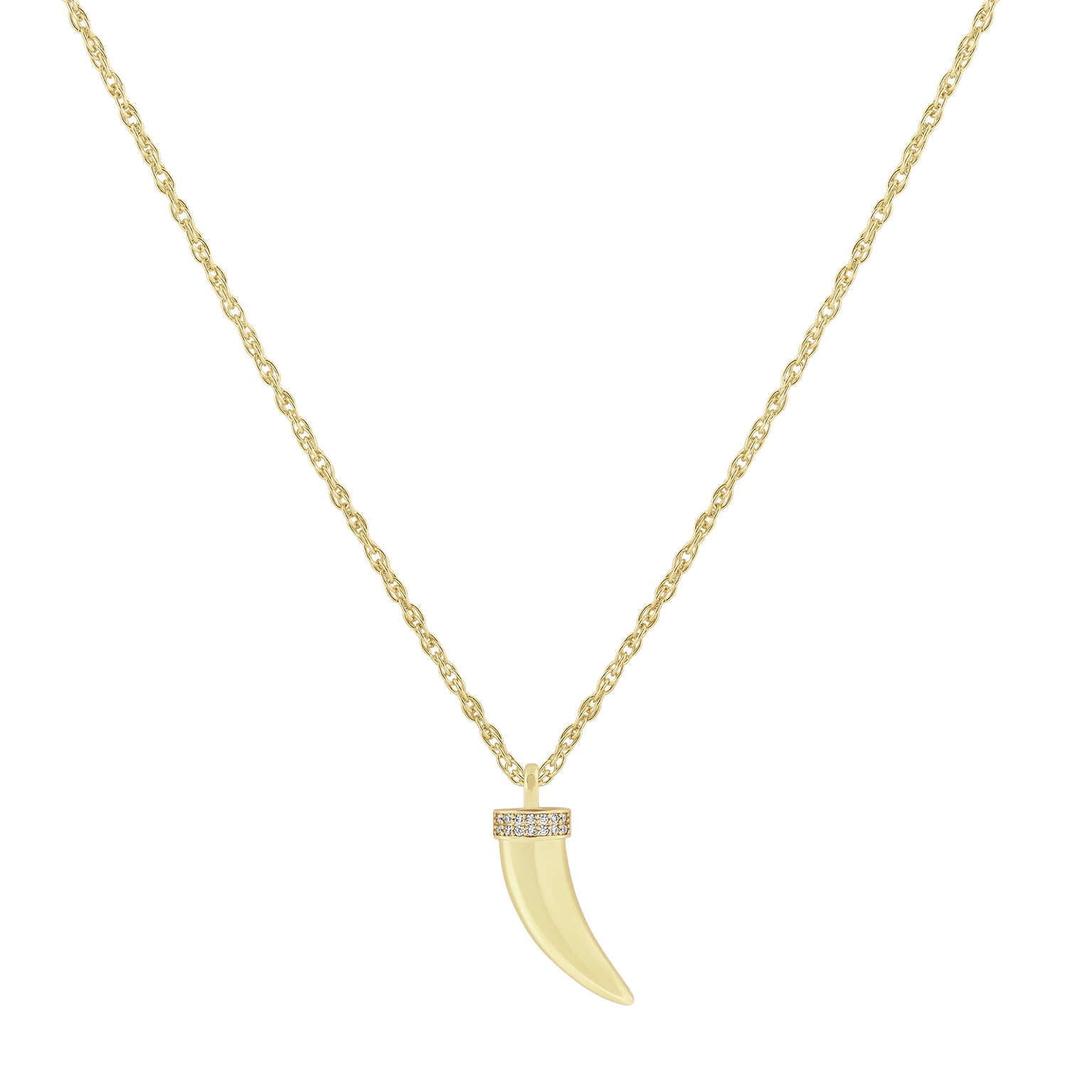 Horn Necklace