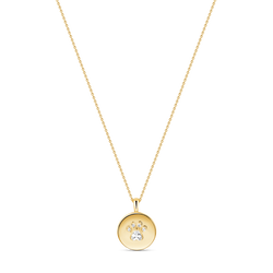 Paw Necklace