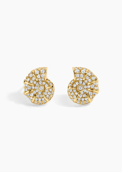 Ocean Studs