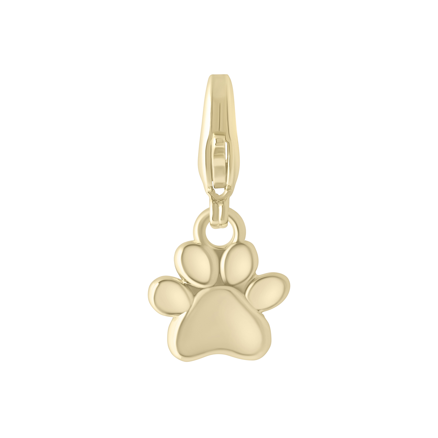 Paw Charm