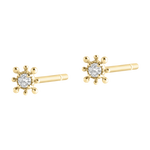 Posh Diamond Studs