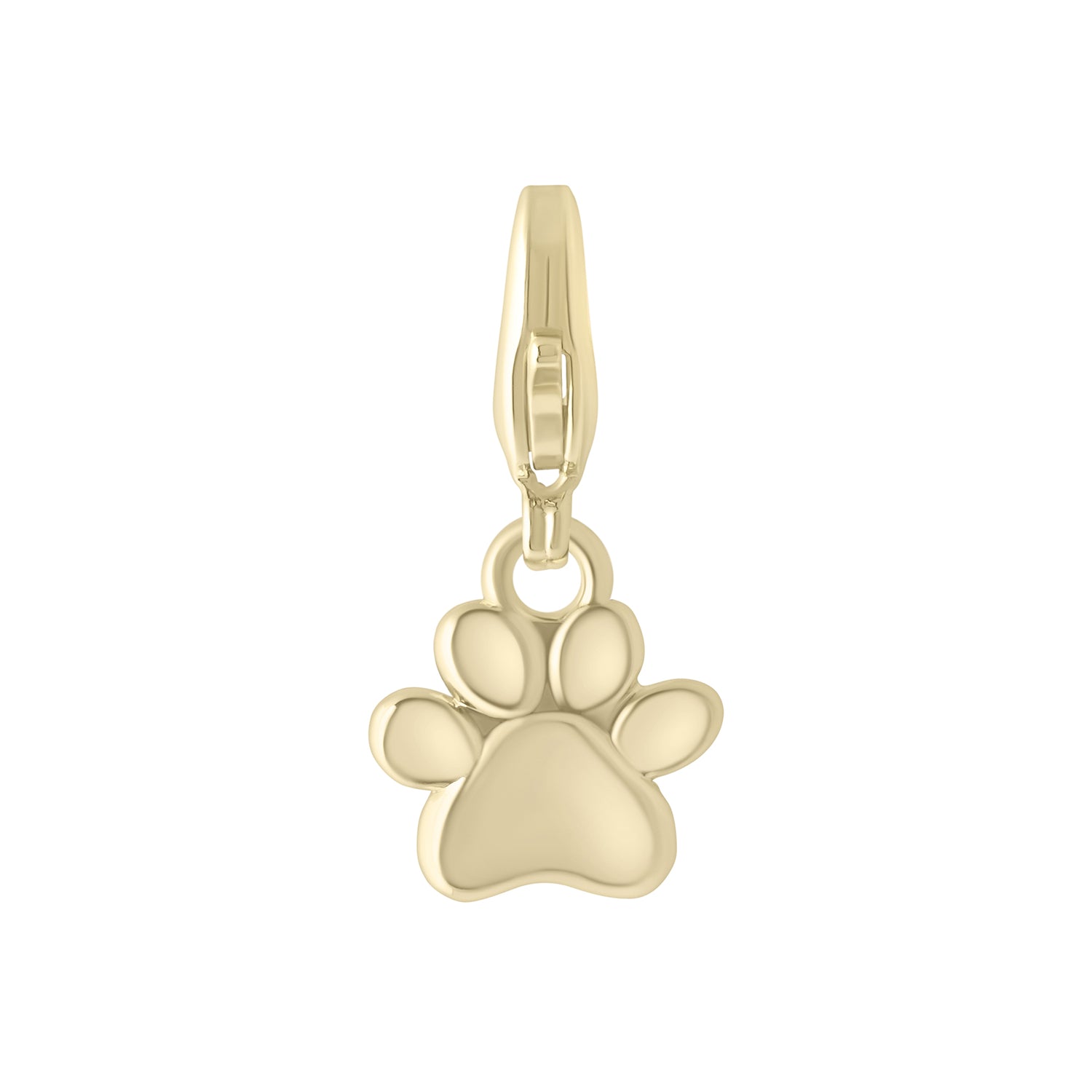 Paw Charm