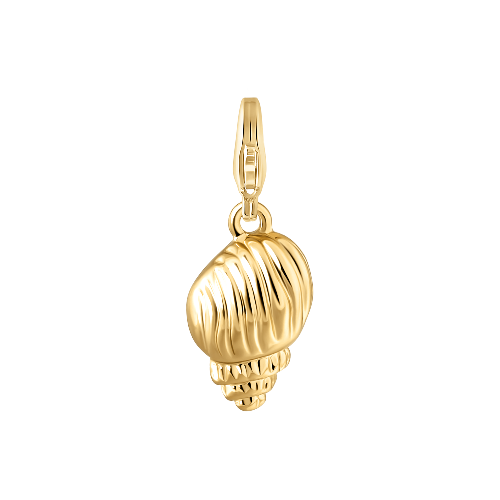 Shell Charm