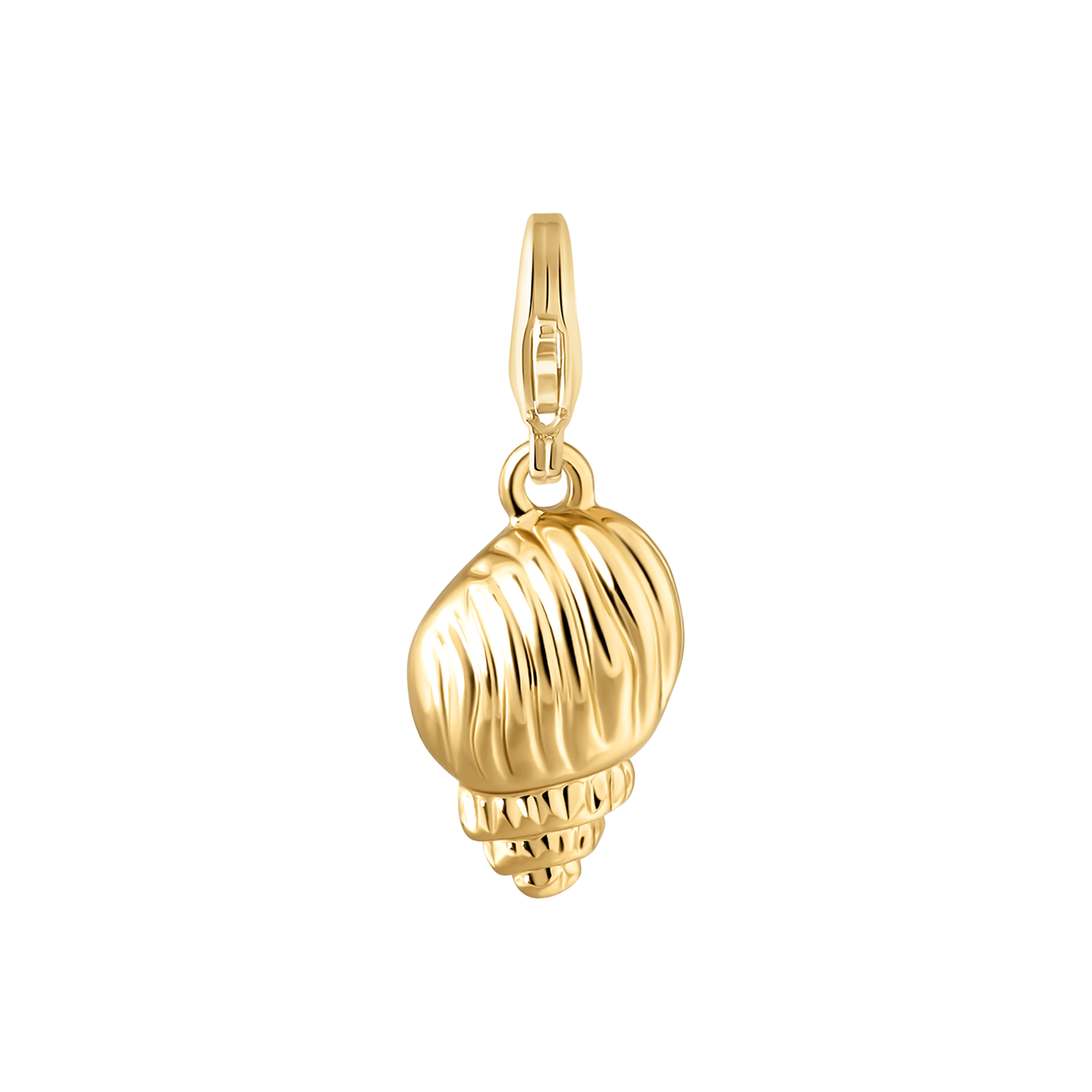 Shell Charm