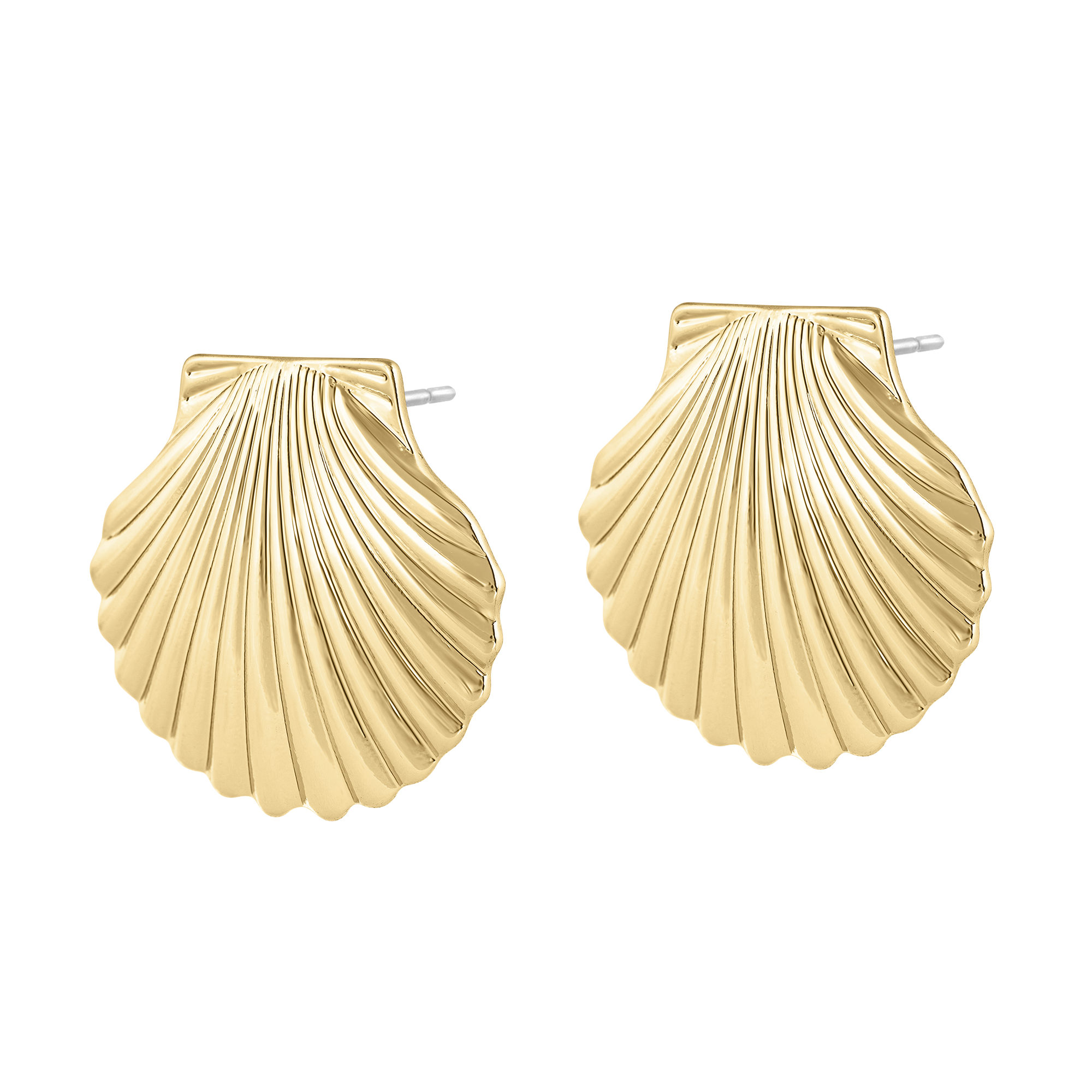 Seashell Earrings