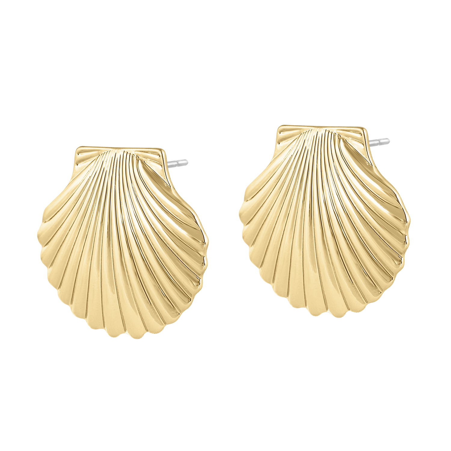 Seashell Earrings