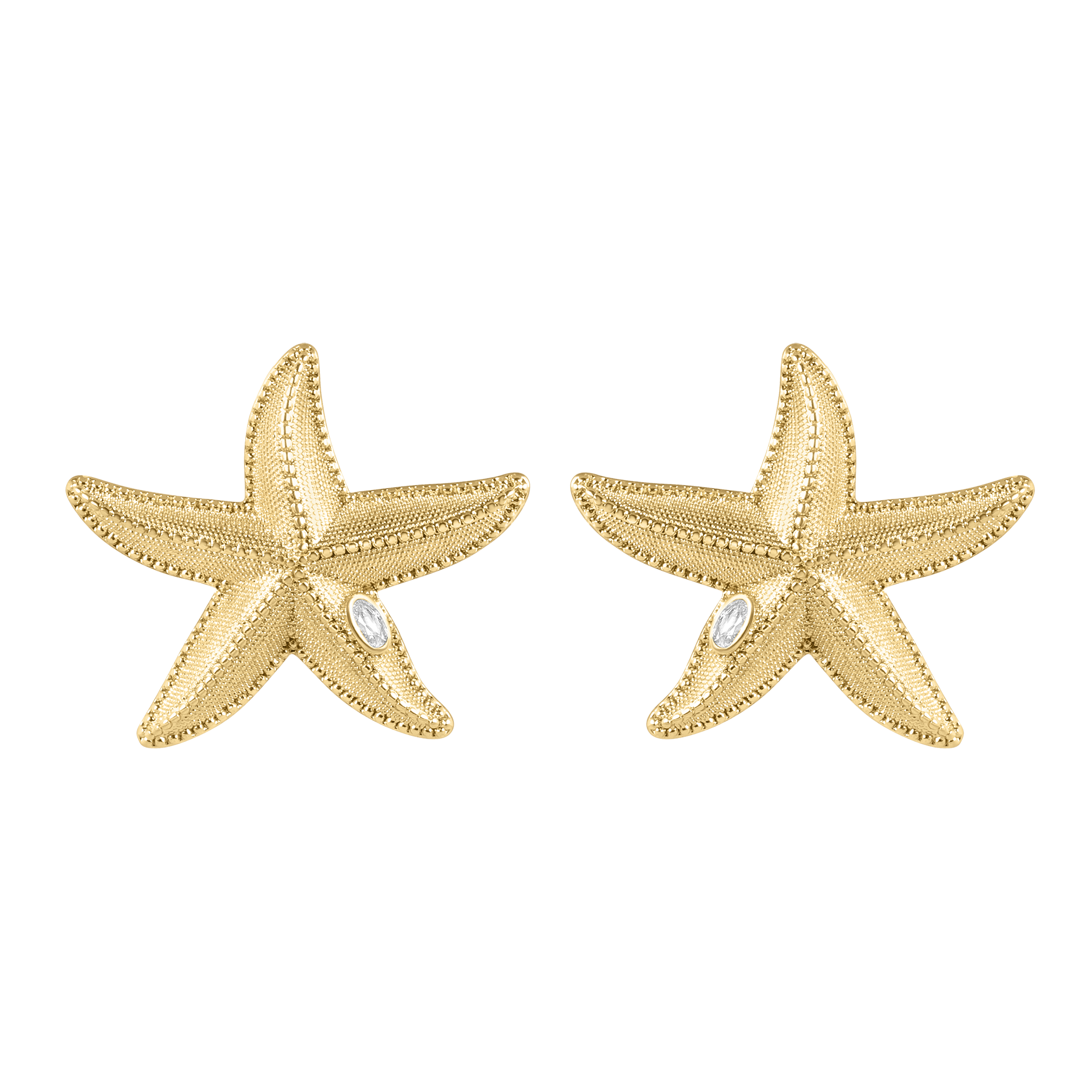 Starfish Set of 2