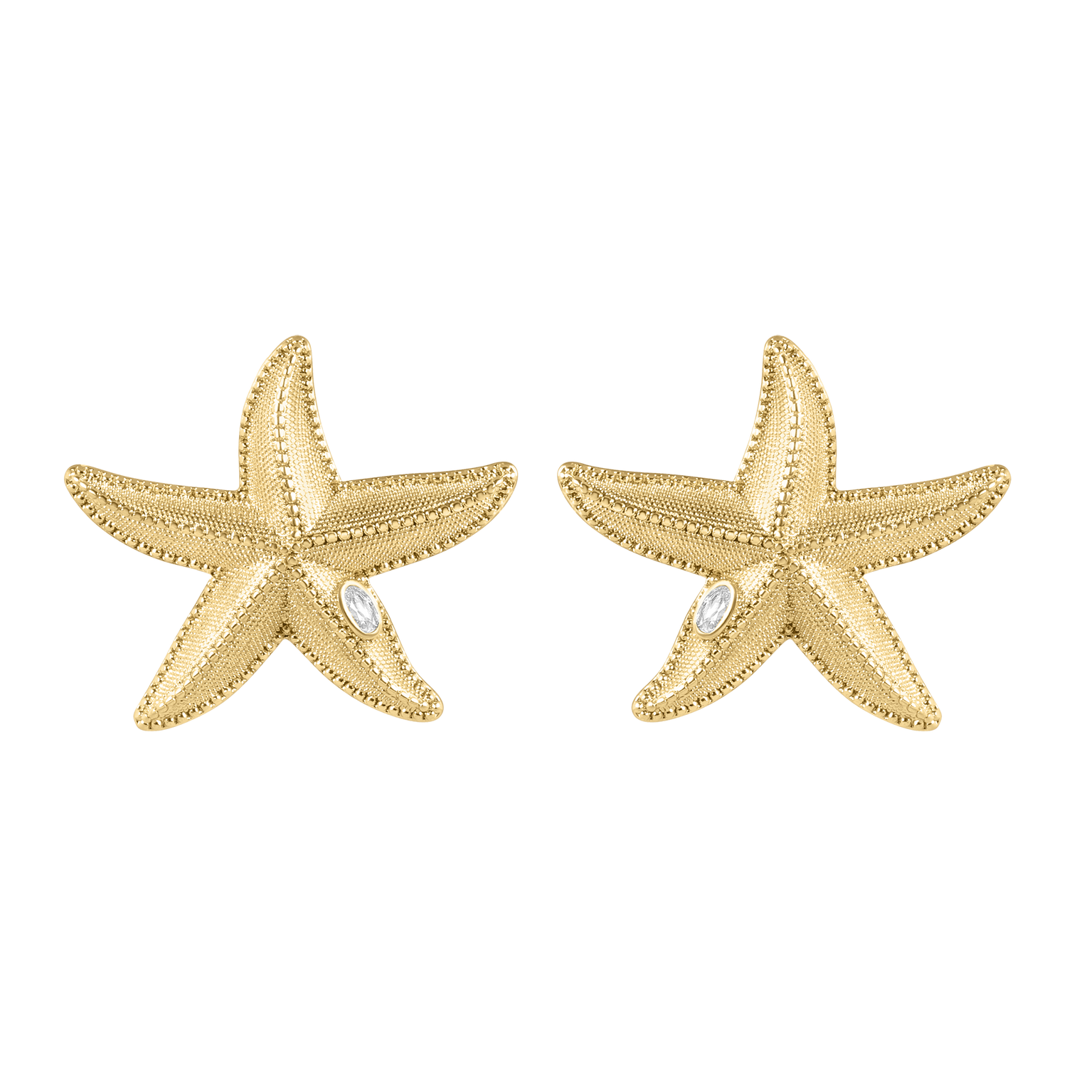 Starfish Set of 2