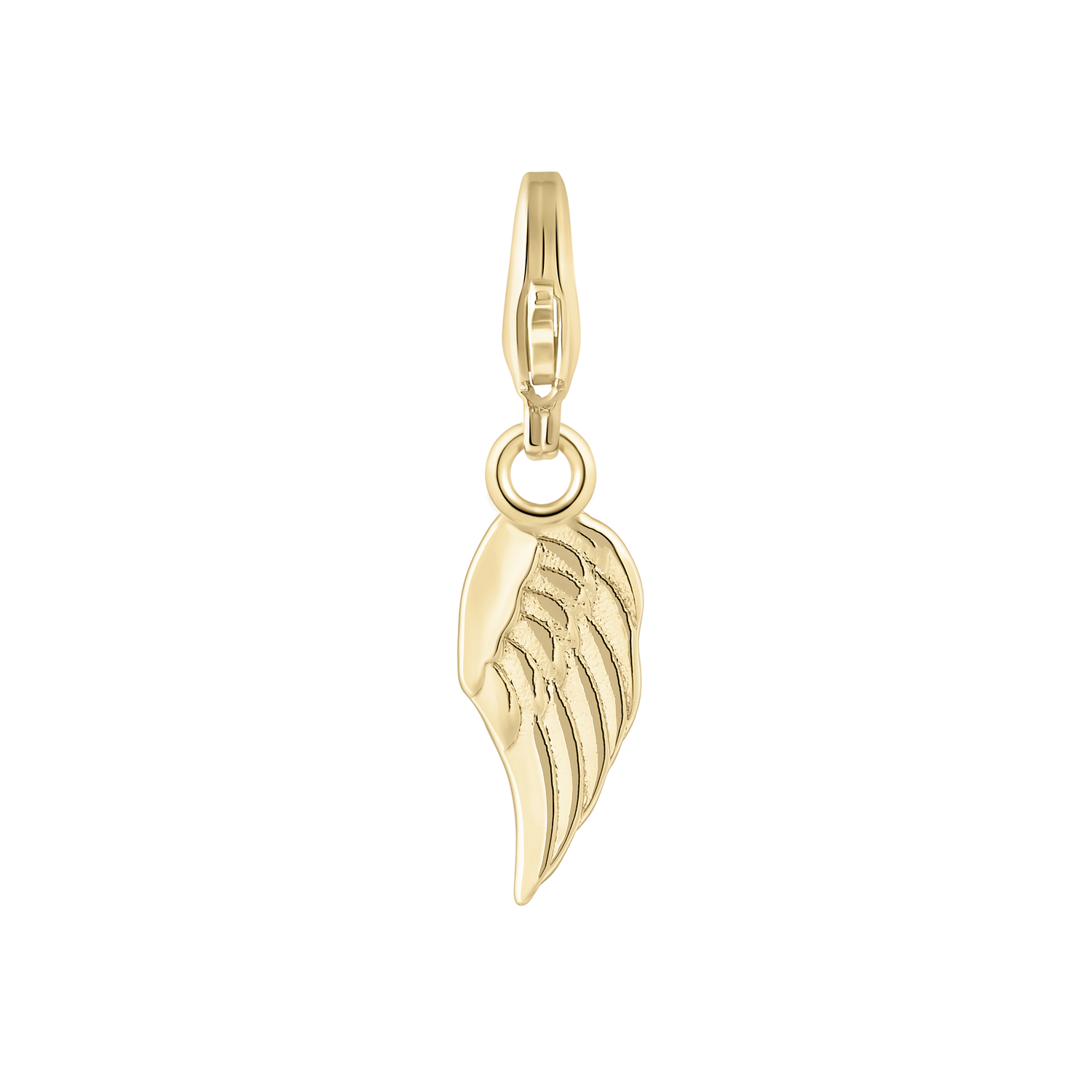 Wing Charm