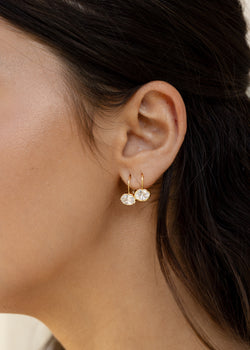 Drop-Off Earrings
