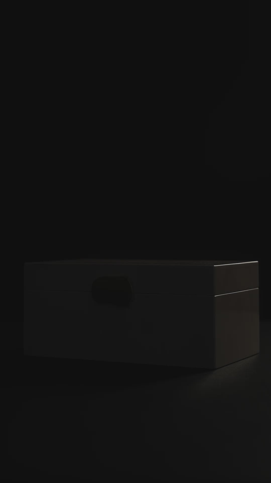 Luxe Jewelry Box