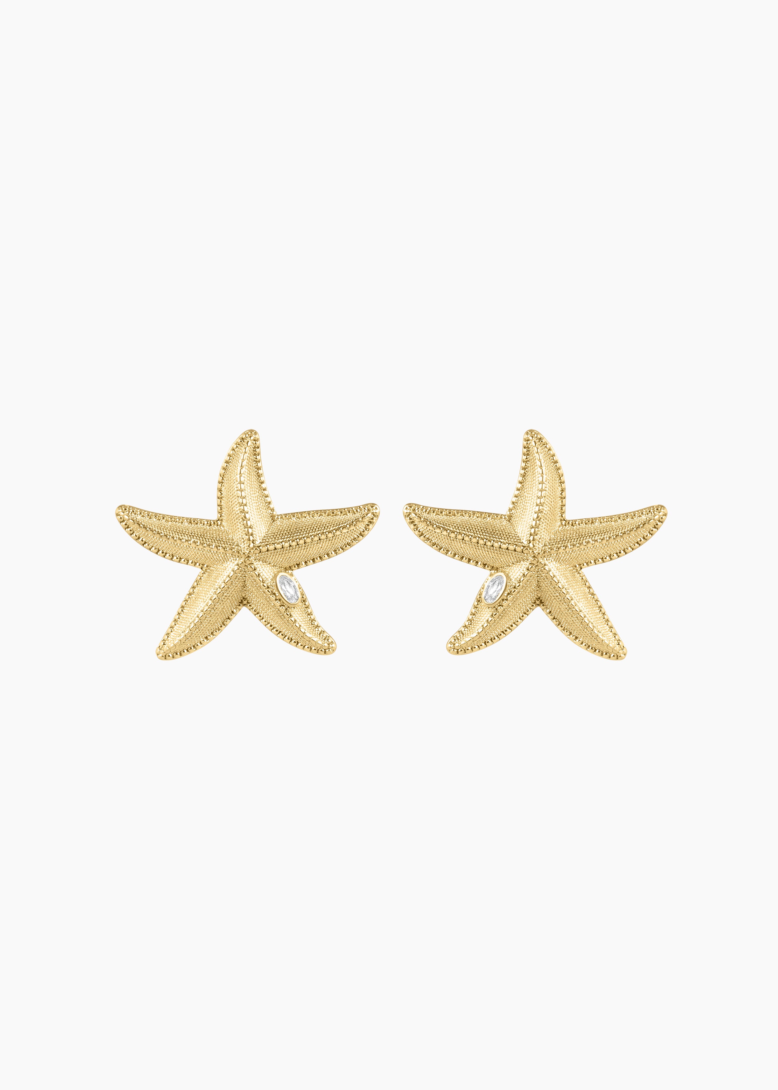 Starfish Earrings