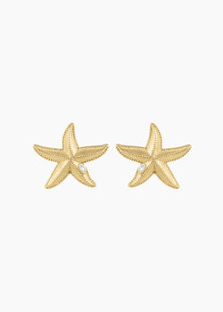 Starfish Earrings