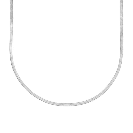 Python Silver Necklace